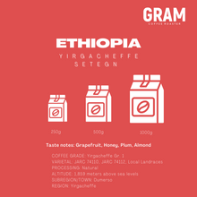 Load image into Gallery viewer, Ethiopia Yirgacheffe Setegn - Single Origin